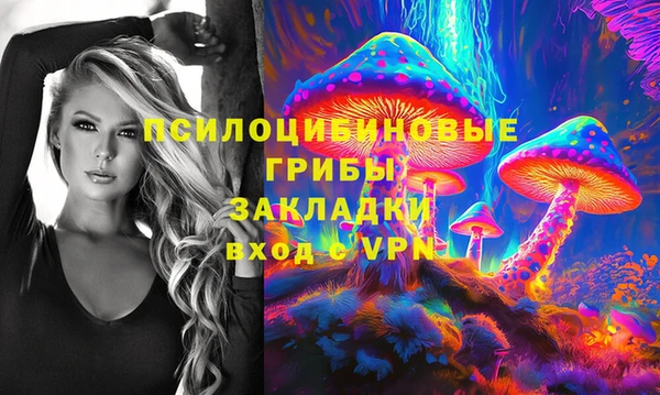 гидропоника Богородицк